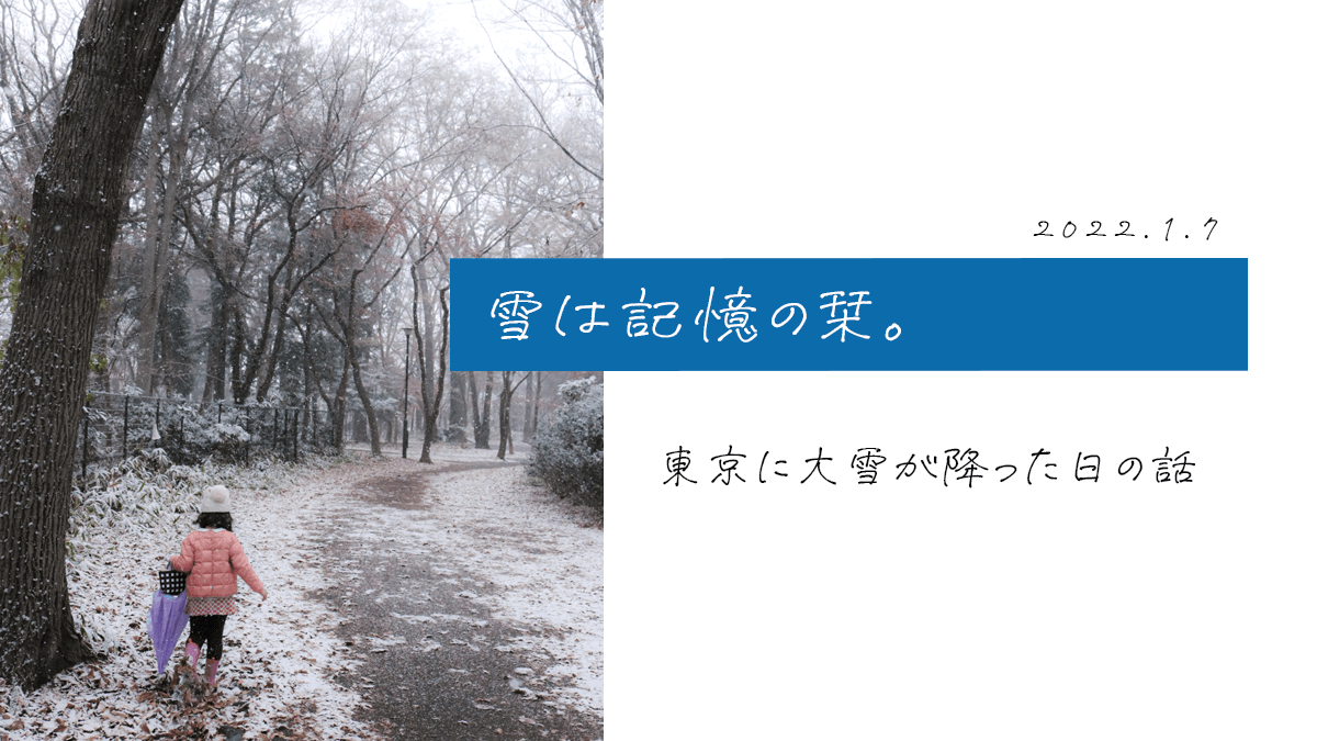 雪は記憶の栞。